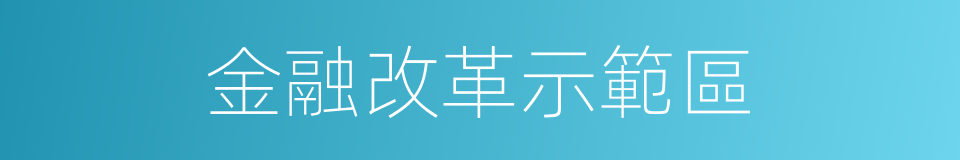金融改革示範區的同義詞