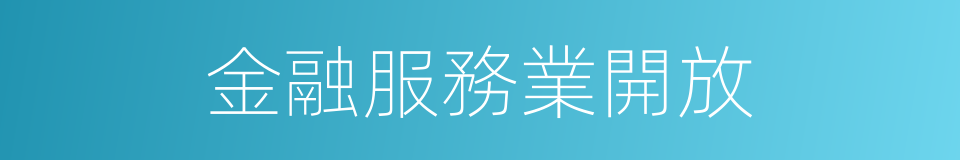 金融服務業開放的同義詞