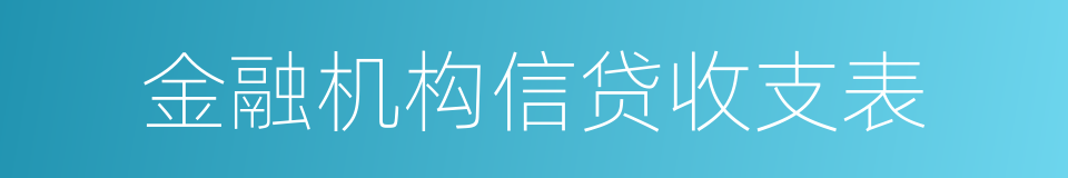 金融机构信贷收支表的同义词