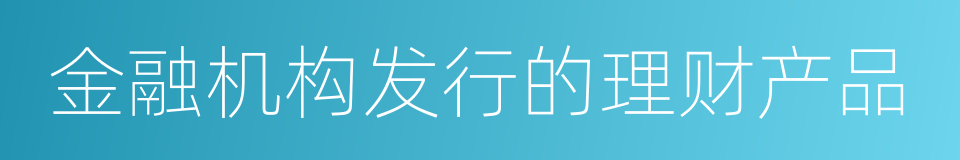 金融机构发行的理财产品的同义词