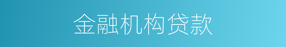 金融机构贷款的同义词