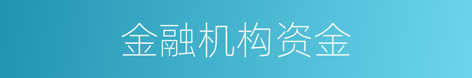 金融机构资金的同义词