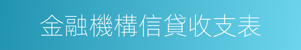 金融機構信貸收支表的同義詞