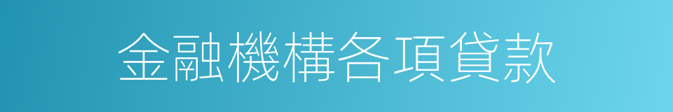 金融機構各項貸款的同義詞