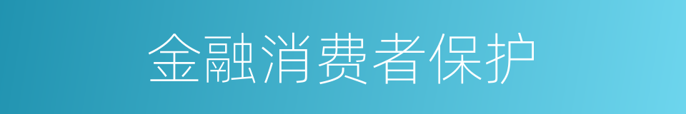 金融消费者保护的同义词