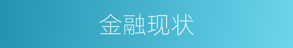 金融现状的同义词