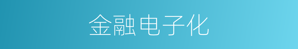金融电子化的同义词