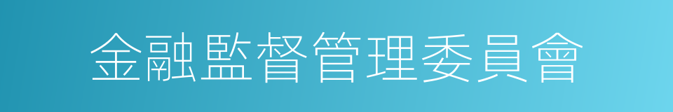 金融監督管理委員會的同義詞