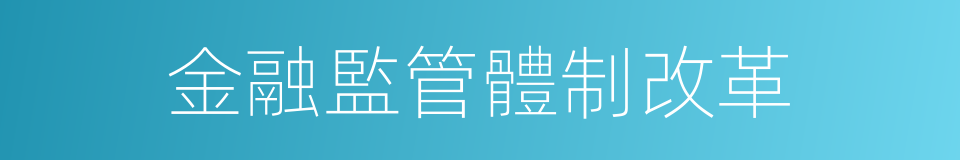 金融監管體制改革的同義詞