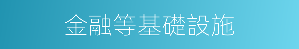 金融等基礎設施的同義詞