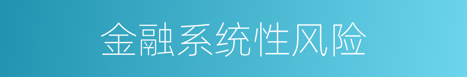 金融系统性风险的同义词