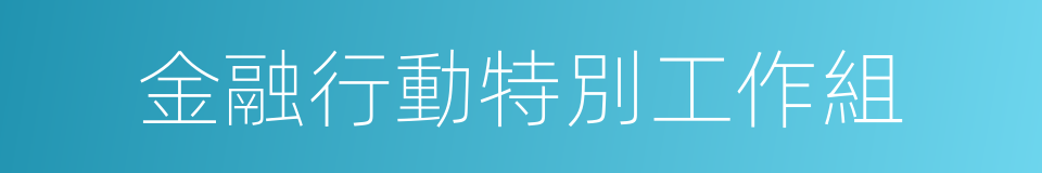 金融行動特別工作組的同義詞