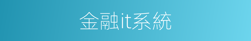 金融it系統的同義詞