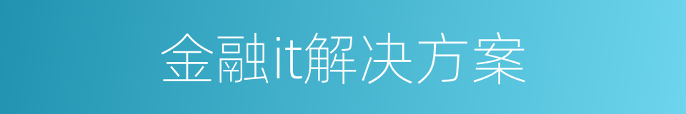 金融it解决方案的同义词