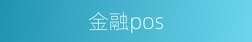 金融pos的同义词