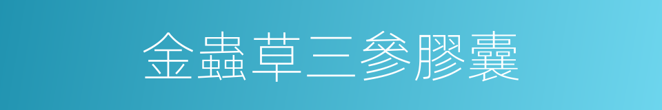 金蟲草三參膠囊的同義詞