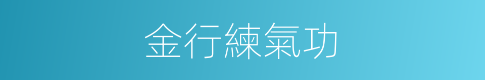 金行練氣功的同義詞