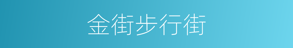 金街步行街的同义词