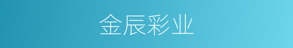 金辰彩业的同义词