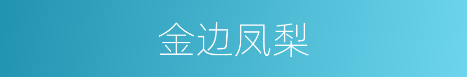 金边凤梨的同义词