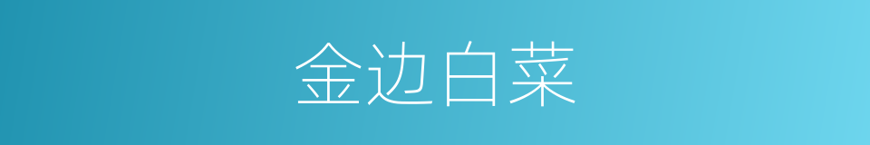 金边白菜的同义词