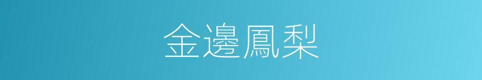 金邊鳳梨的同義詞