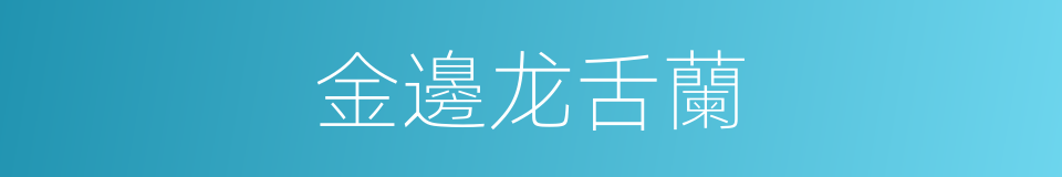 金邊龙舌蘭的同義詞