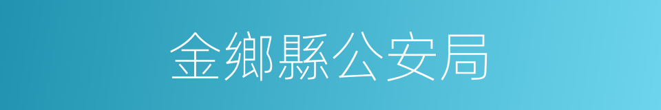 金鄉縣公安局的同義詞
