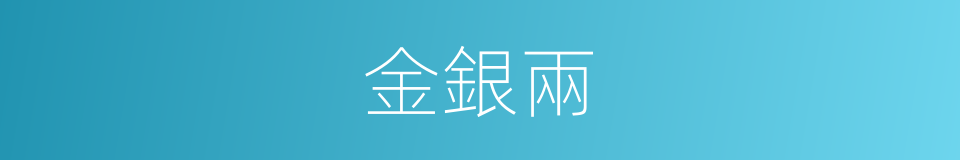 金銀兩的同義詞