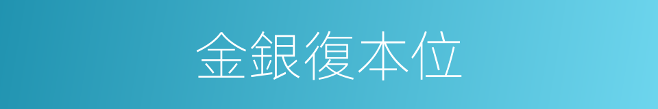 金銀復本位的同義詞