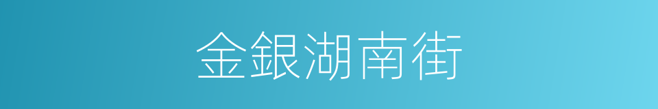 金銀湖南街的同義詞