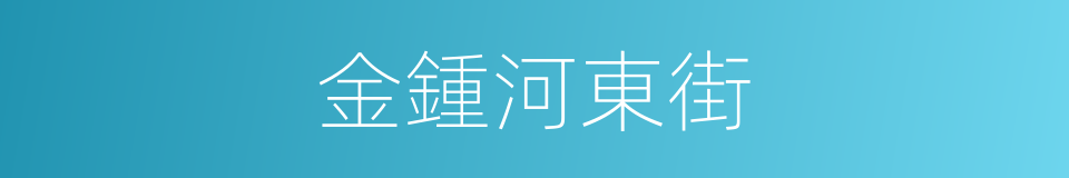 金鍾河東街的同義詞