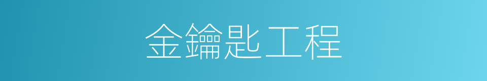 金鑰匙工程的同義詞