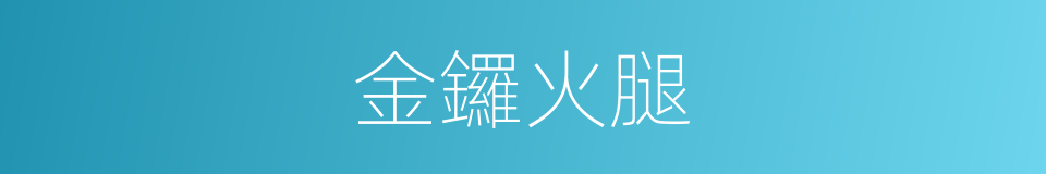 金鑼火腿的同義詞