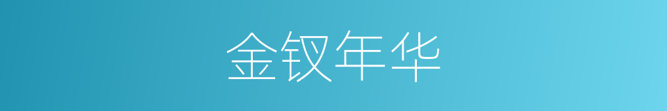 金钗年华的同义词