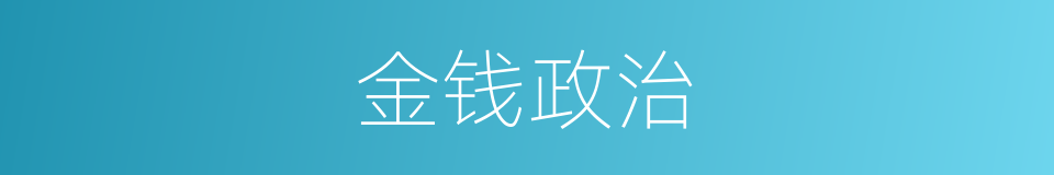 金钱政治的意思