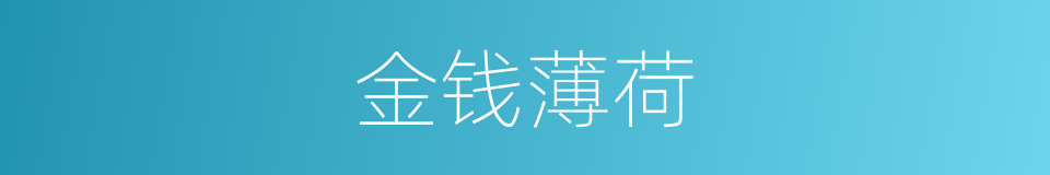 金钱薄荷的同义词