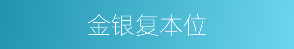 金银复本位的同义词