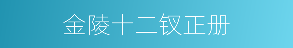 金陵十二钗正册的同义词