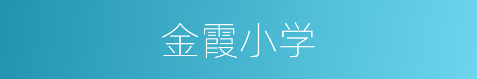 金霞小学的同义词