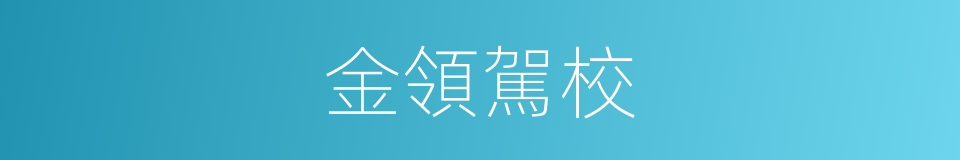 金領駕校的同義詞