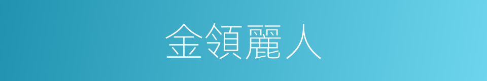 金領麗人的同義詞
