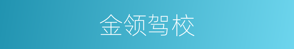 金领驾校的同义词