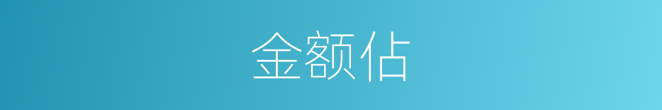金额佔的同义词