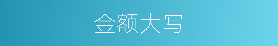 金额大写的同义词