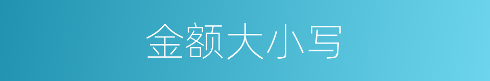 金额大小写的同义词