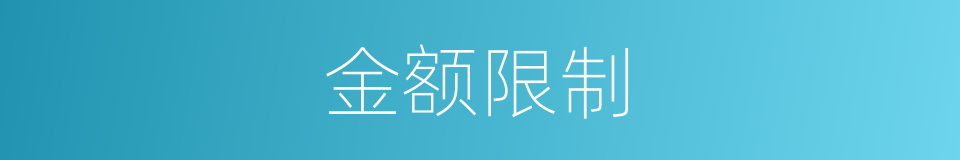 金额限制的同义词
