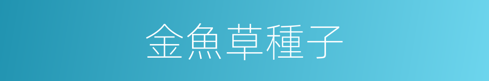 金魚草種子的同義詞