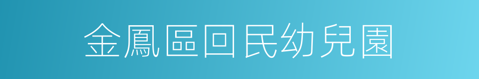 金鳳區回民幼兒園的同義詞