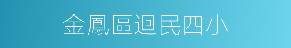 金鳳區迴民四小的同義詞
